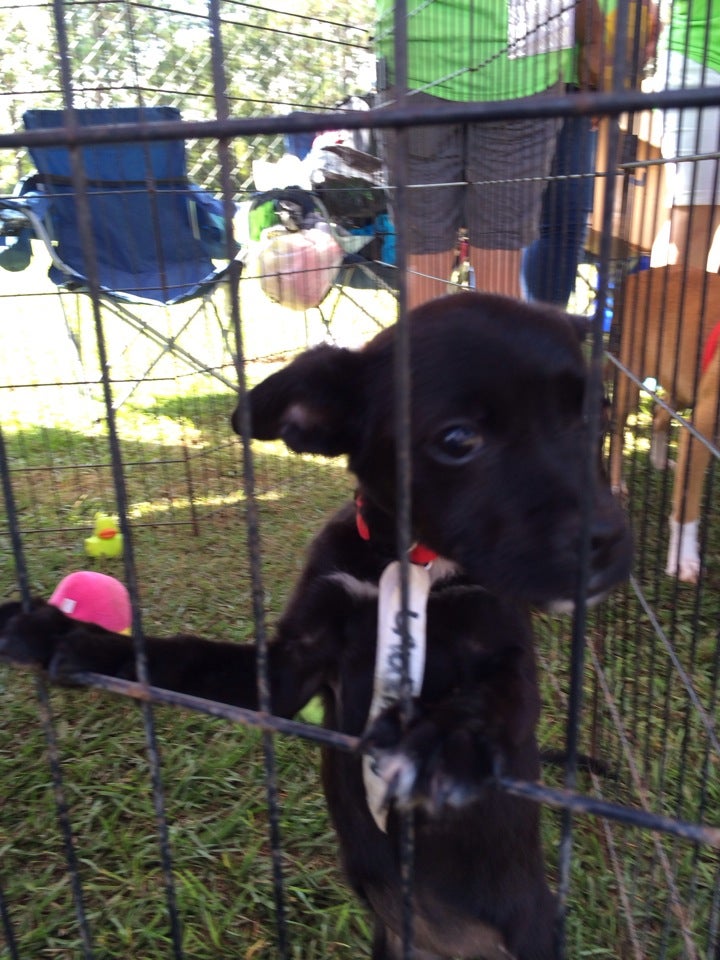 Saraland, AL Map & Directions MapQuest