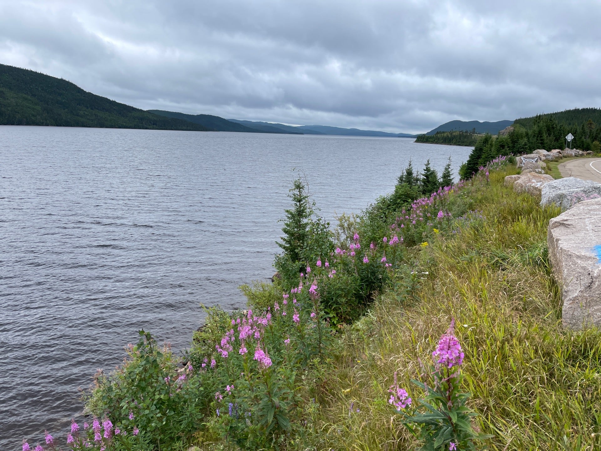Point de Vue Lac Jacques Cartier, Route AntonioTalbot, La Côtede