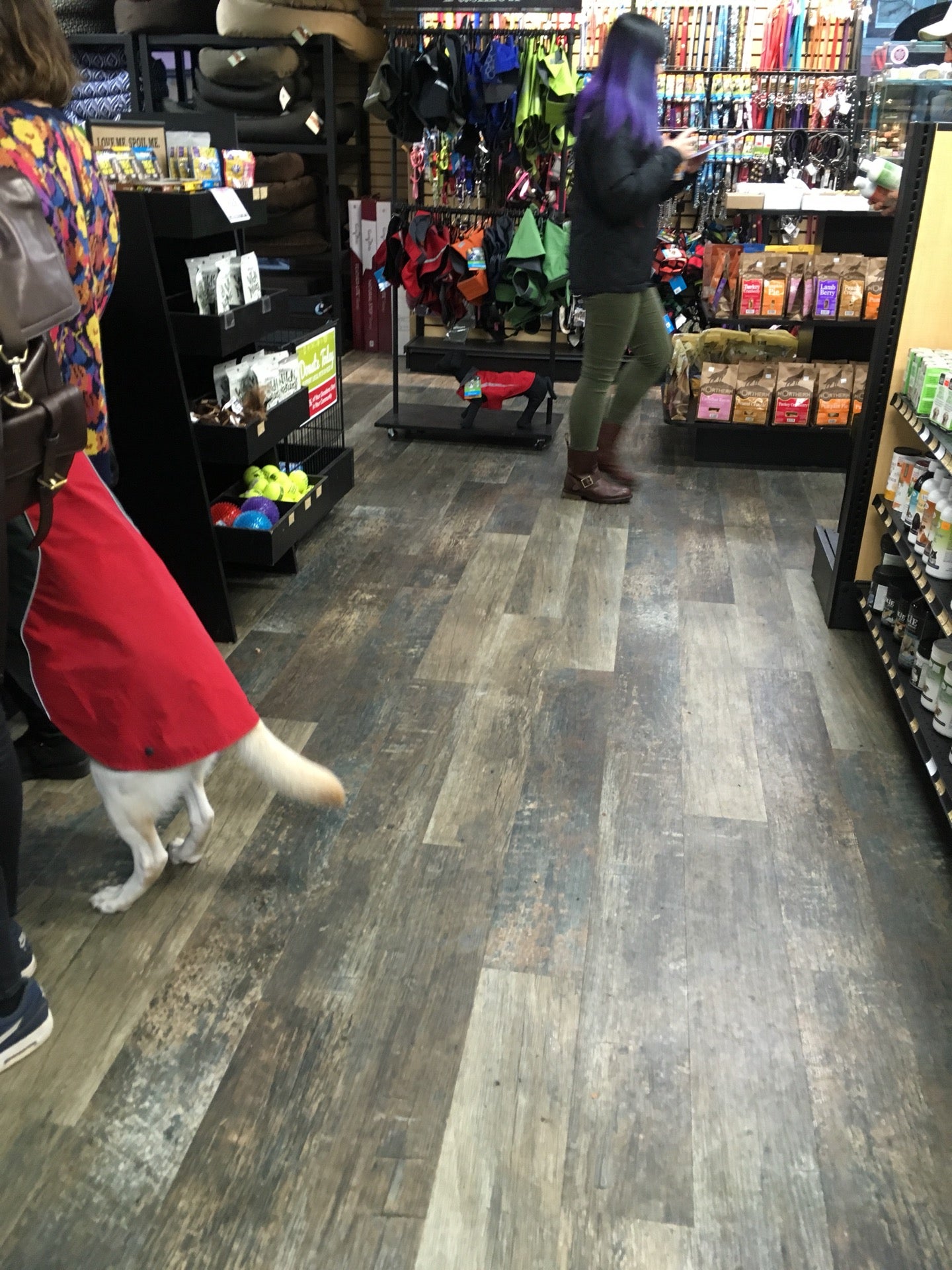 Tisol Pet Nutrition & Supply Stores, 2738 Arbutus St, Vancouver, BC