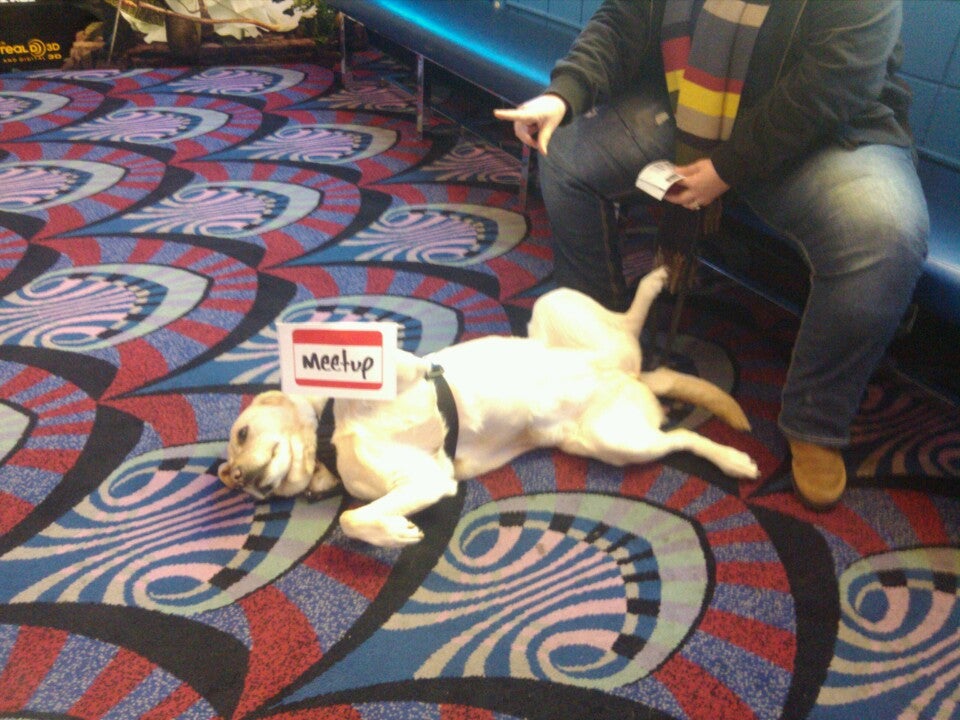 Pitbull Playpen, Matawan, NJ, Parks MapQuest