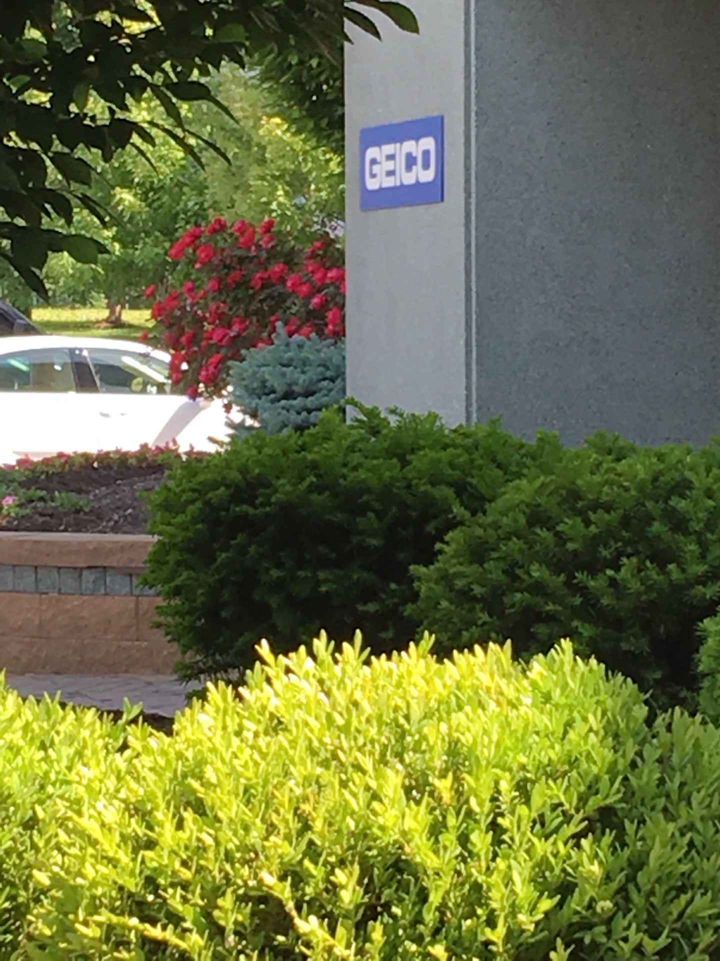 Geico Federal Employee Discount - s7ir72q