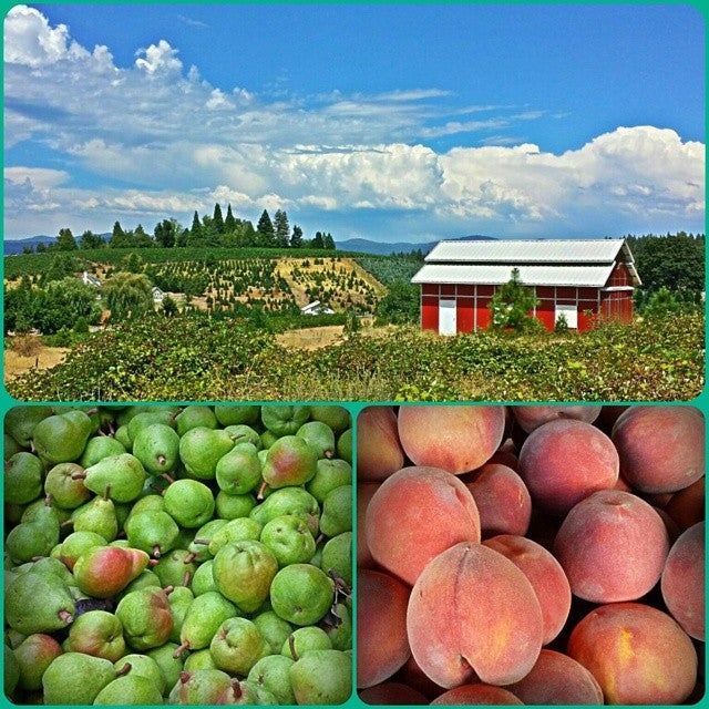 Apple Hill, 2952 Carson Rd, Placerville, CA, Farm Markets MapQuest
