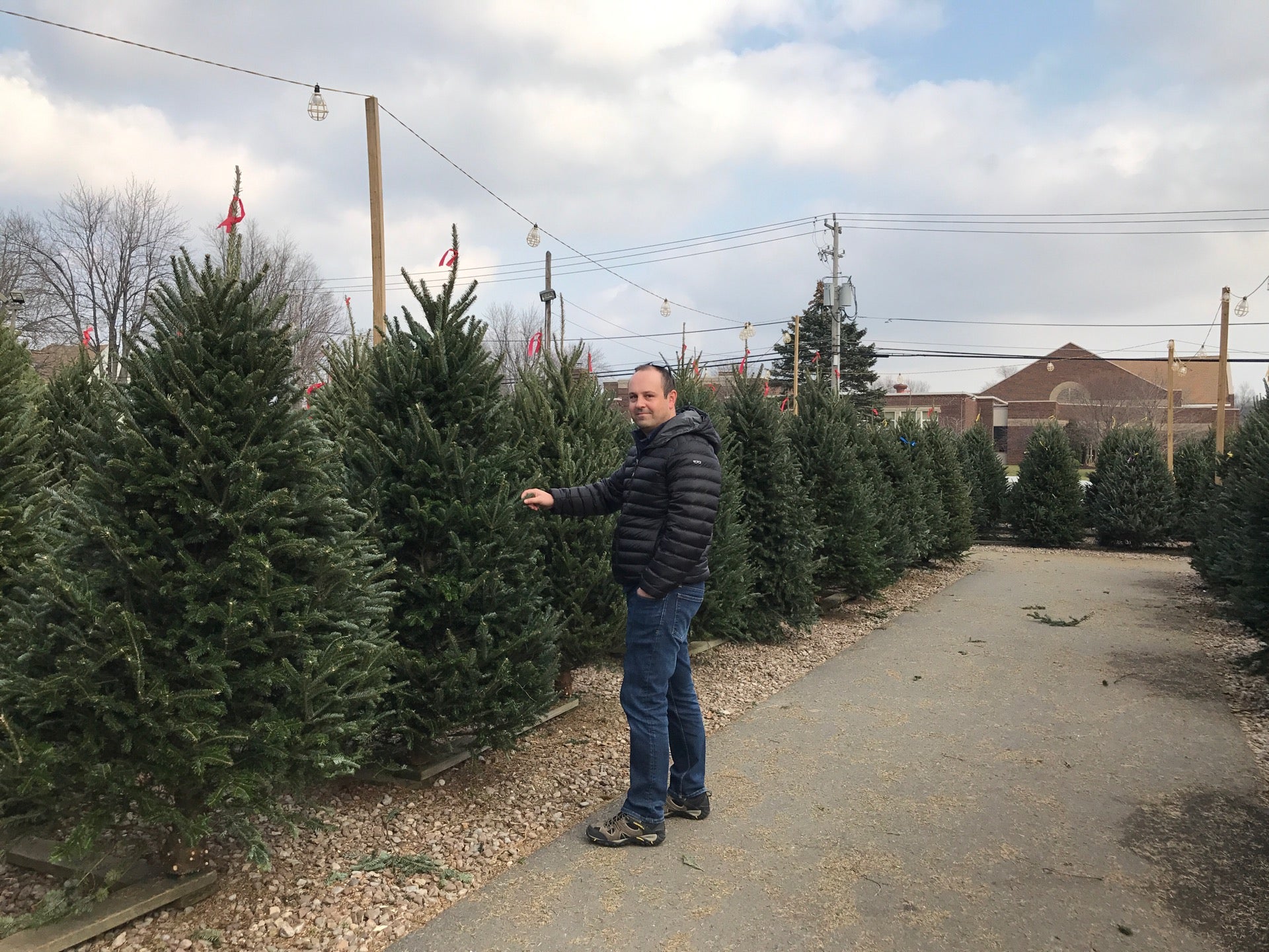 Russell's Tree and Shrub Farm LLC, 9800 Transit Road, East Amherst, NY ...