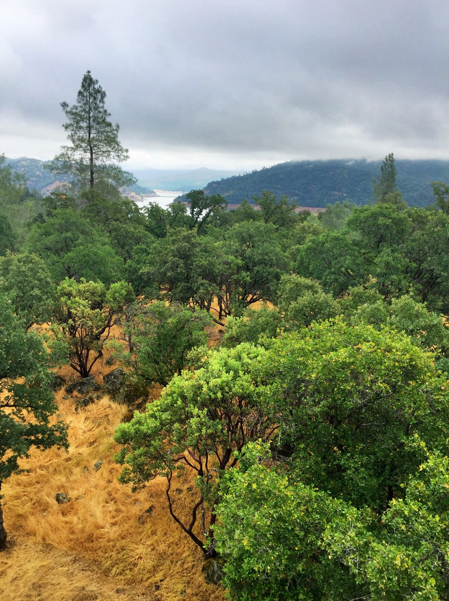 Lake Oroville Visitors Center, 917 Kelly Ridge Rd, Oroville, CA