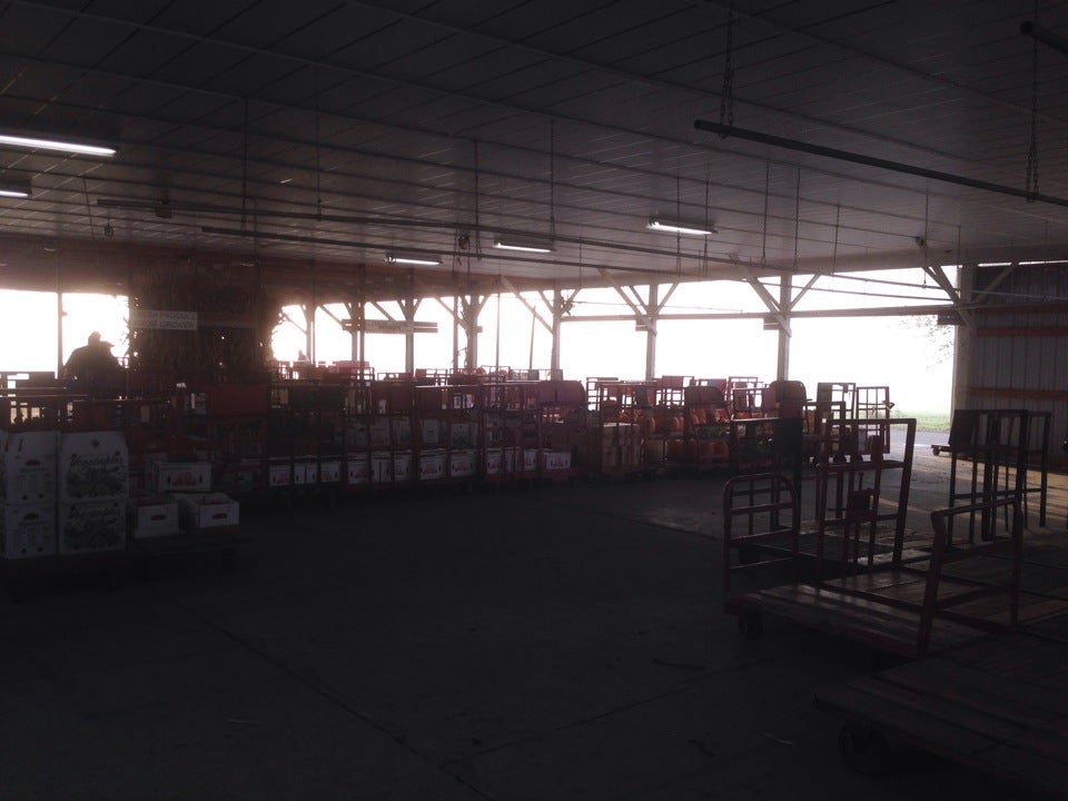 Kutztown Produce Auction Inc, 209 Oakhaven Rd, Fleetwood, PA, Services