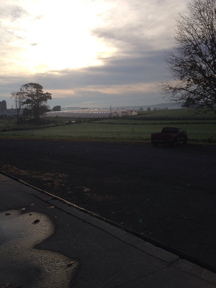 Kutztown Produce Auction Inc, 209 Oakhaven Rd, Richmond Twp, PA