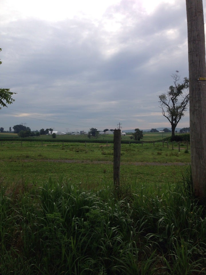 Kutztown Produce Auction Inc, 209 Oakhaven Rd, Fleetwood, PA, Services