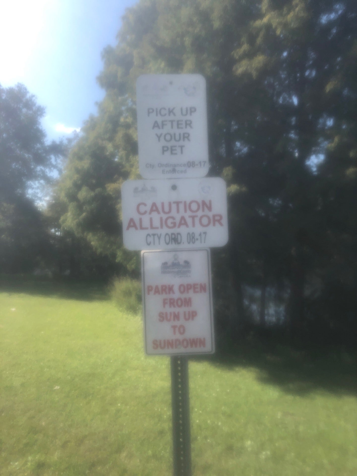 Northdale, FL Map & Directions MapQuest