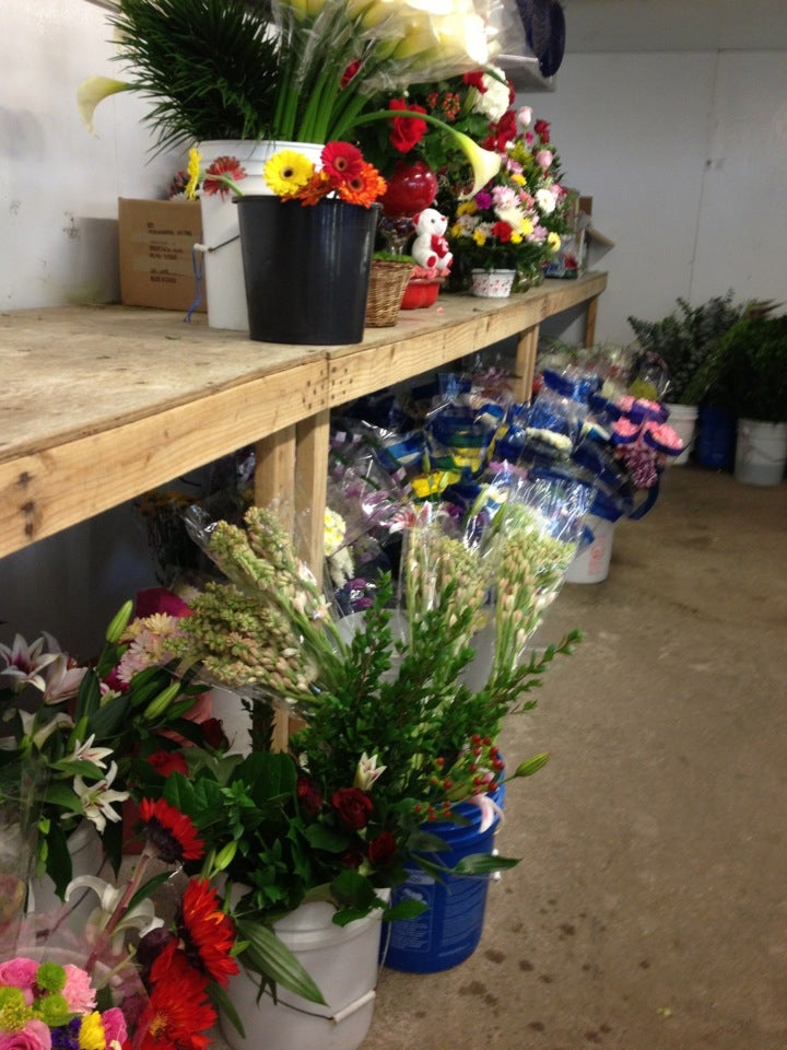 Fannin Street Flowers Houston Tx Best Flower Site