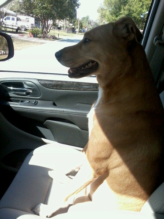 Mascotte Elementary School, 460 Midway Ave, Mascotte, FL, Schools