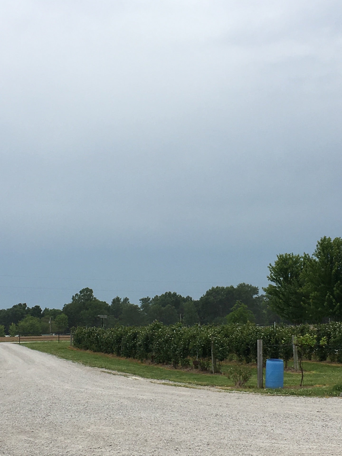 Donnellson, IL Map & Directions MapQuest