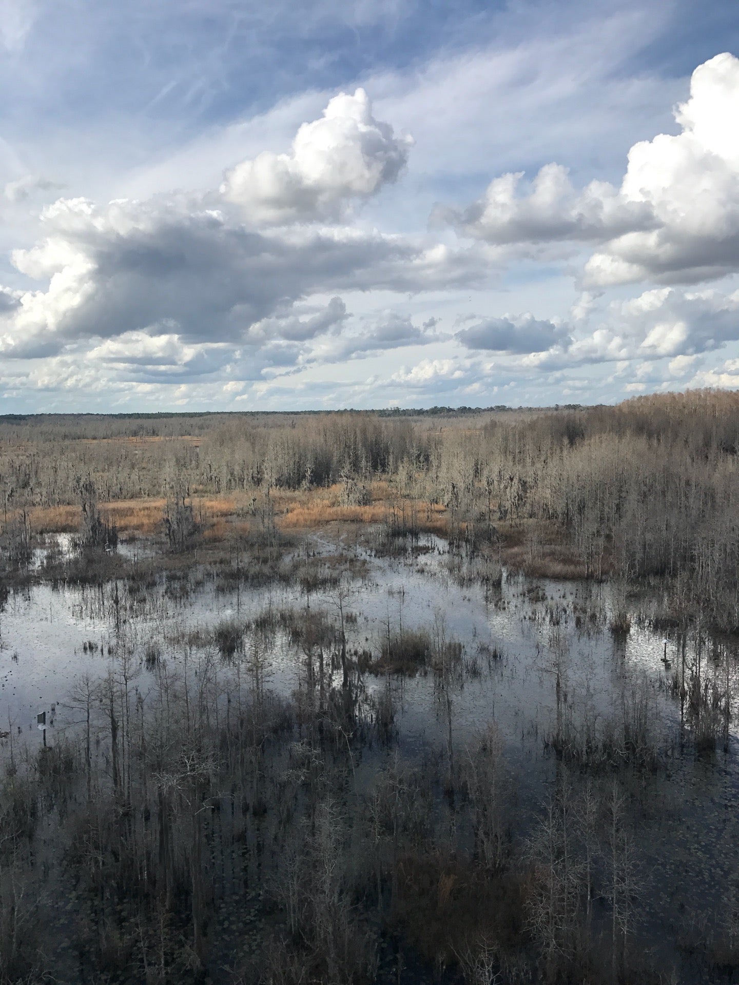 Grand Bay Wildlife Management Area, 4661 Knights Academy Rd, 4641