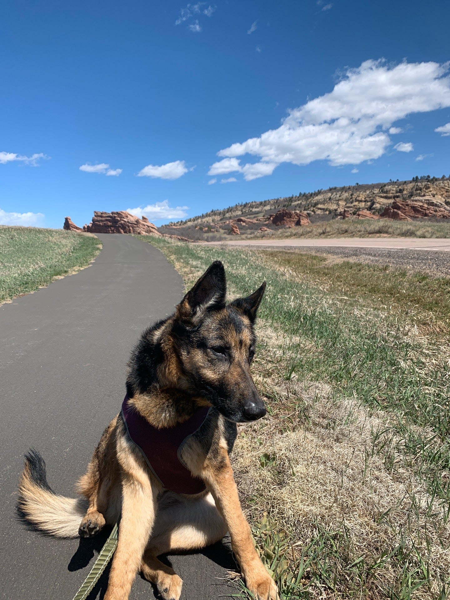 Deer Creek Canyon Open Space, West Deer Creek Canyon Road, Littleton