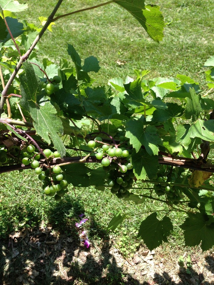 Ackley, IA Map & Directions MapQuest