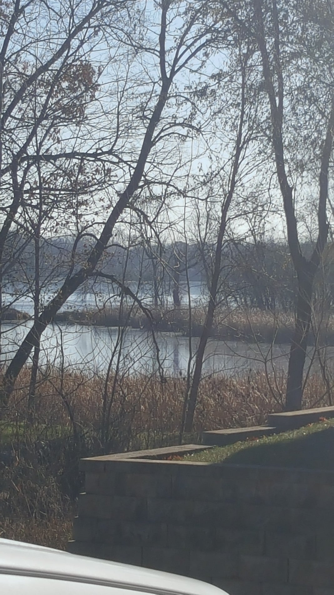 Cooks Bay, Lake Mound, MN, Landmark MapQuest