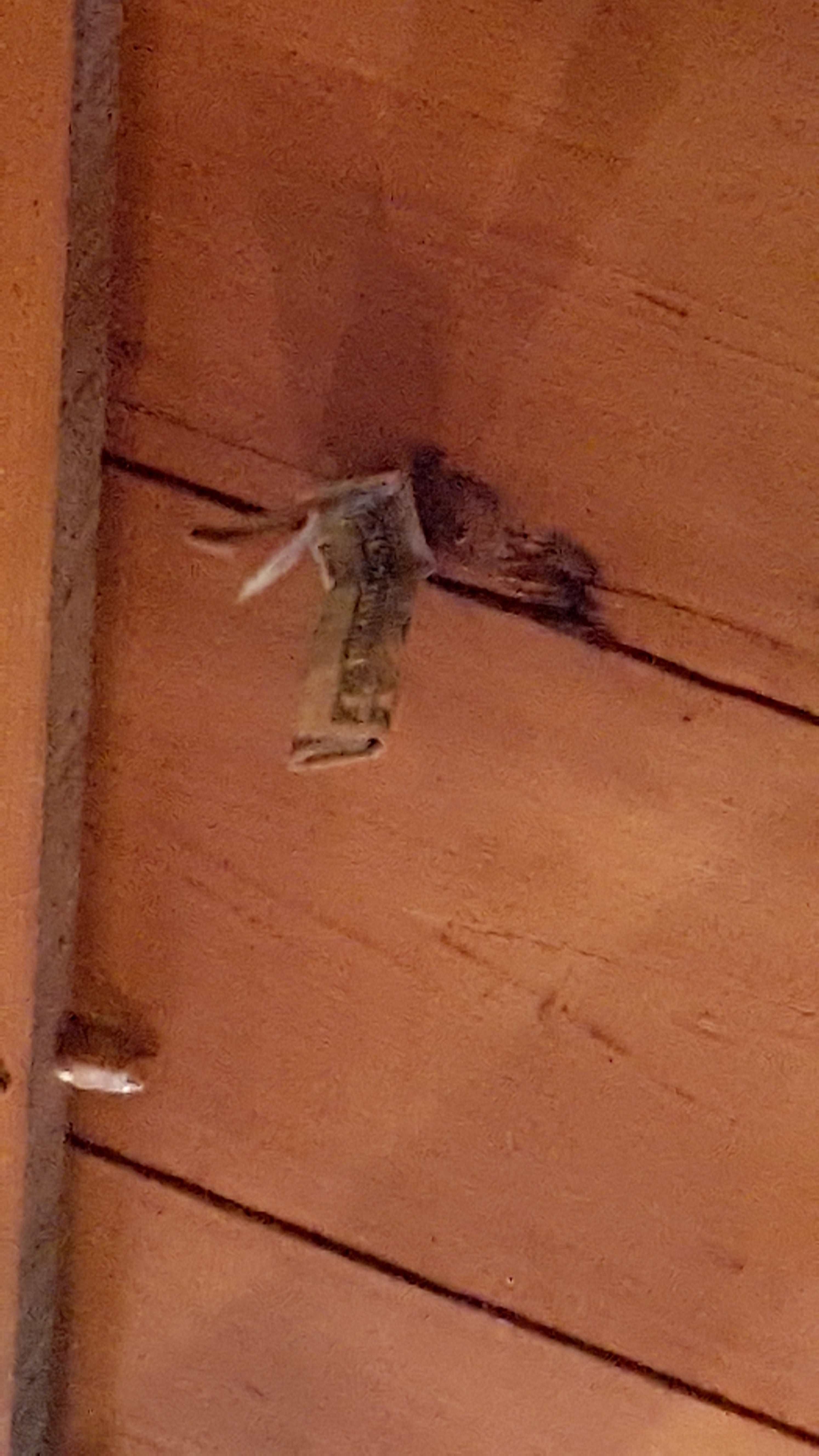 Birchwood, WI Map & Directions MapQuest