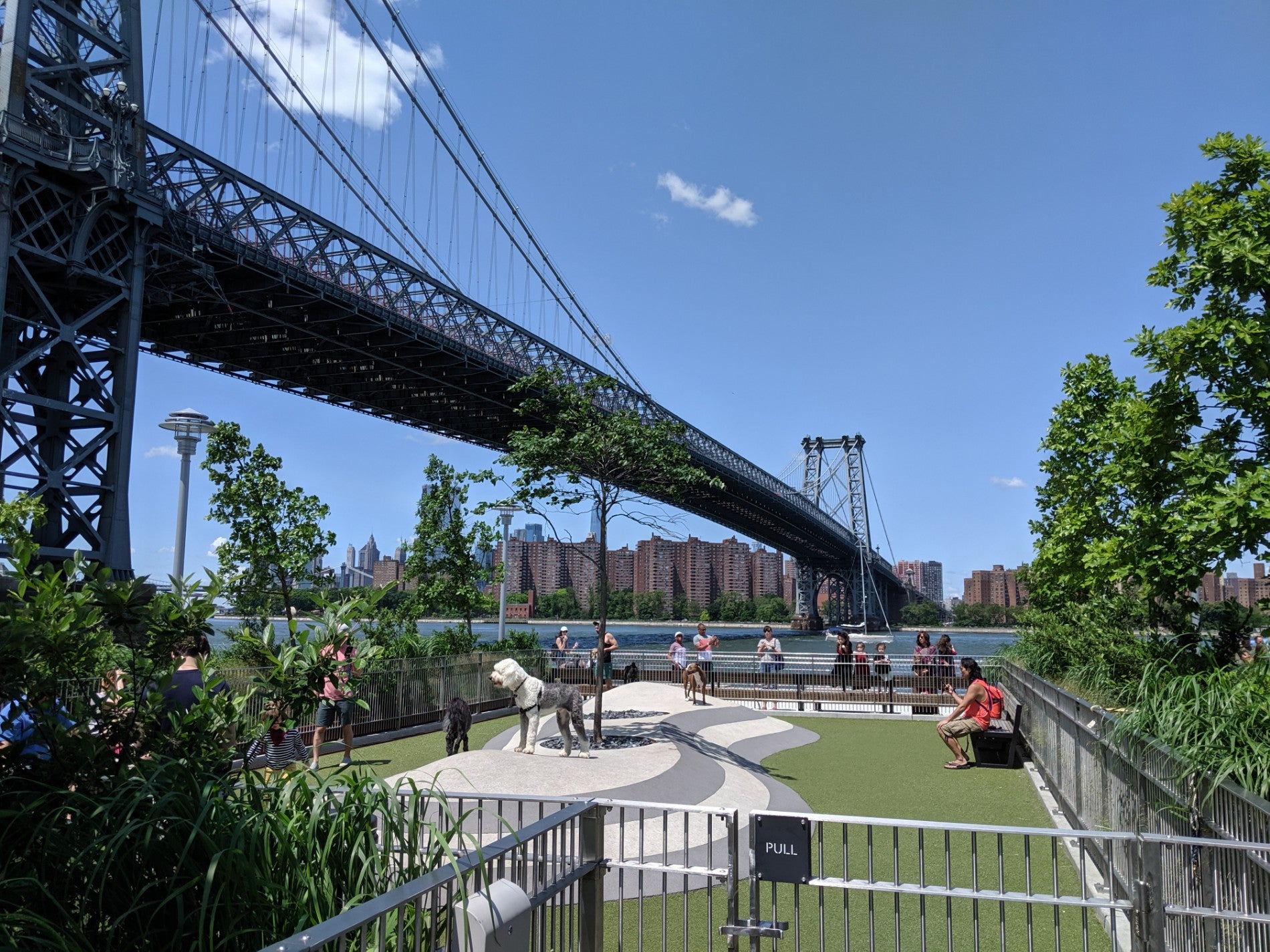 Domino Dog Run, New York, NY, Parks MapQuest