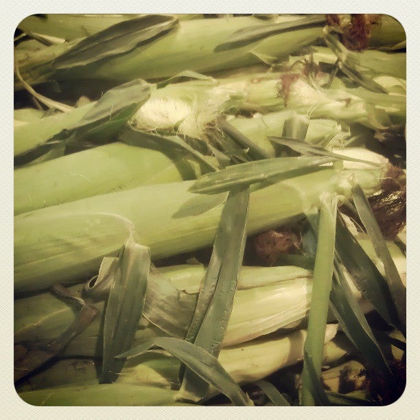 How to Preserve Corn Husks for Crafts