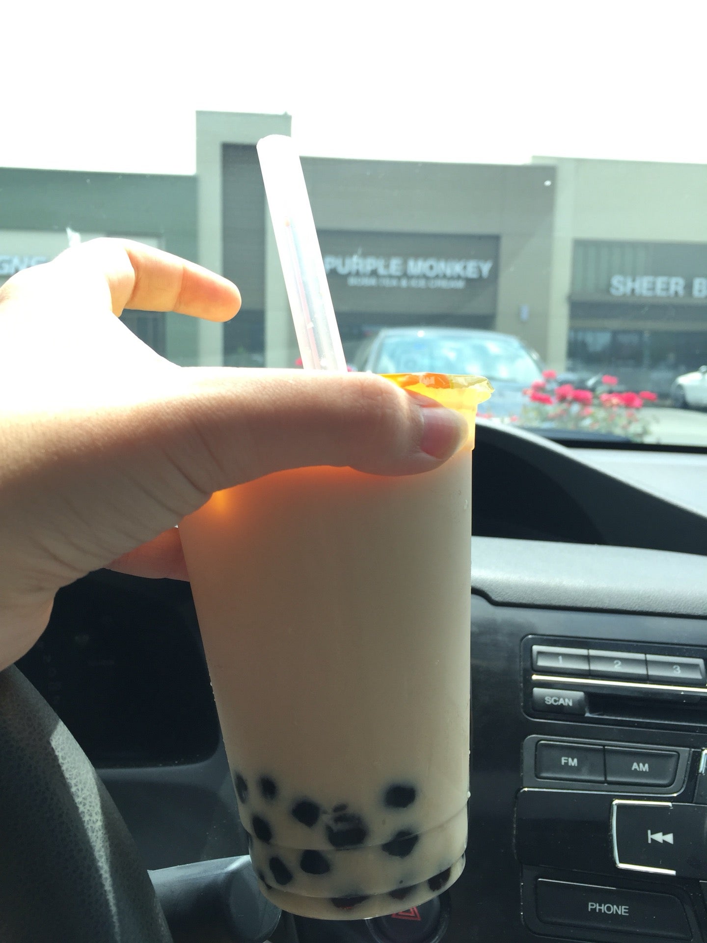 Purple Monkey Boba Tea and Ice Cream, 4015 University Dr, Durham, NC