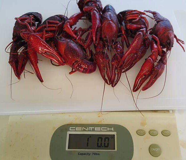 Anahuac, TX Map & Directions MapQuest