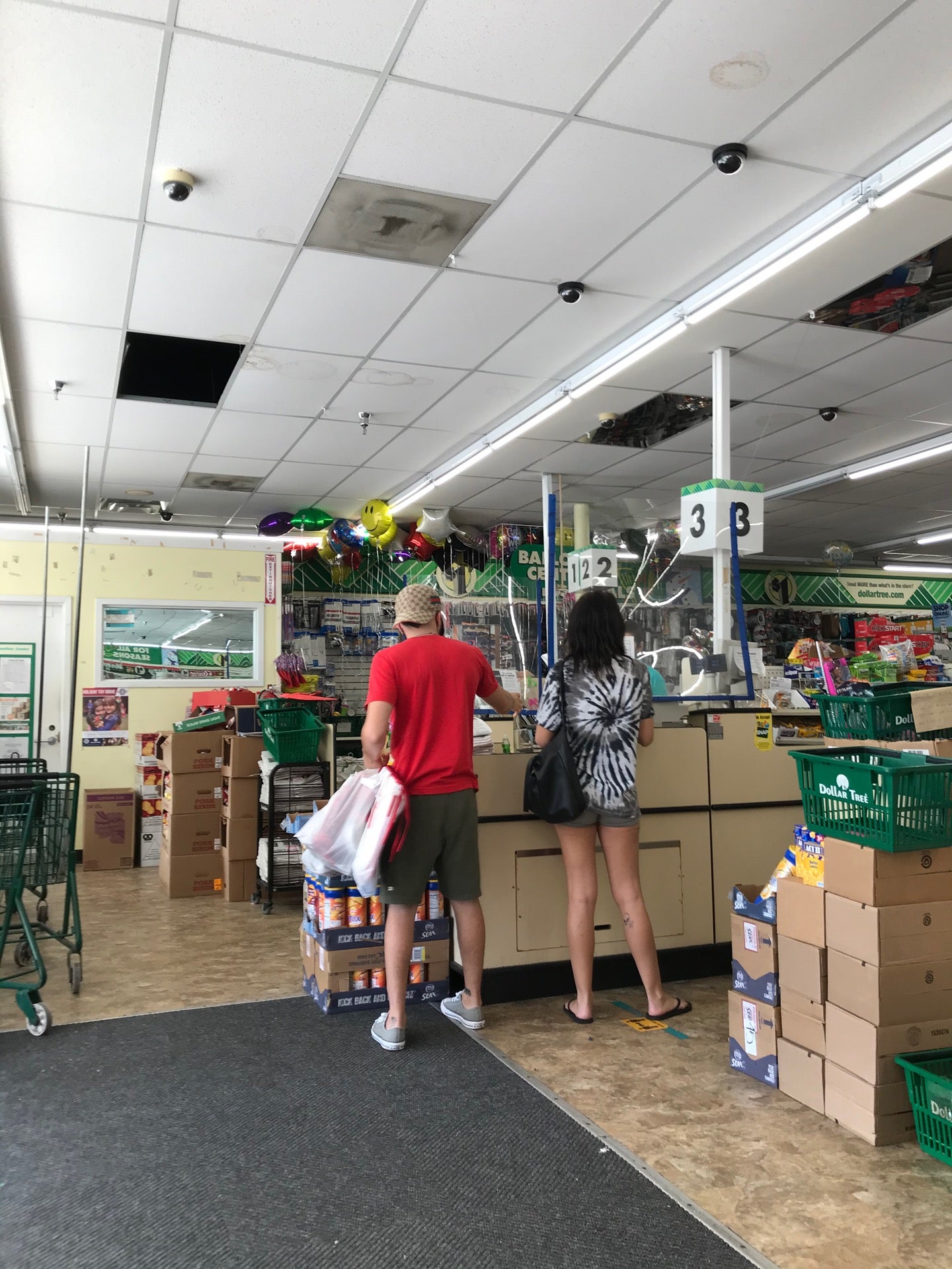 Dollar Tree, 3993 Tyrone Blvd N, St Petersburg, Florida, Variety Stores