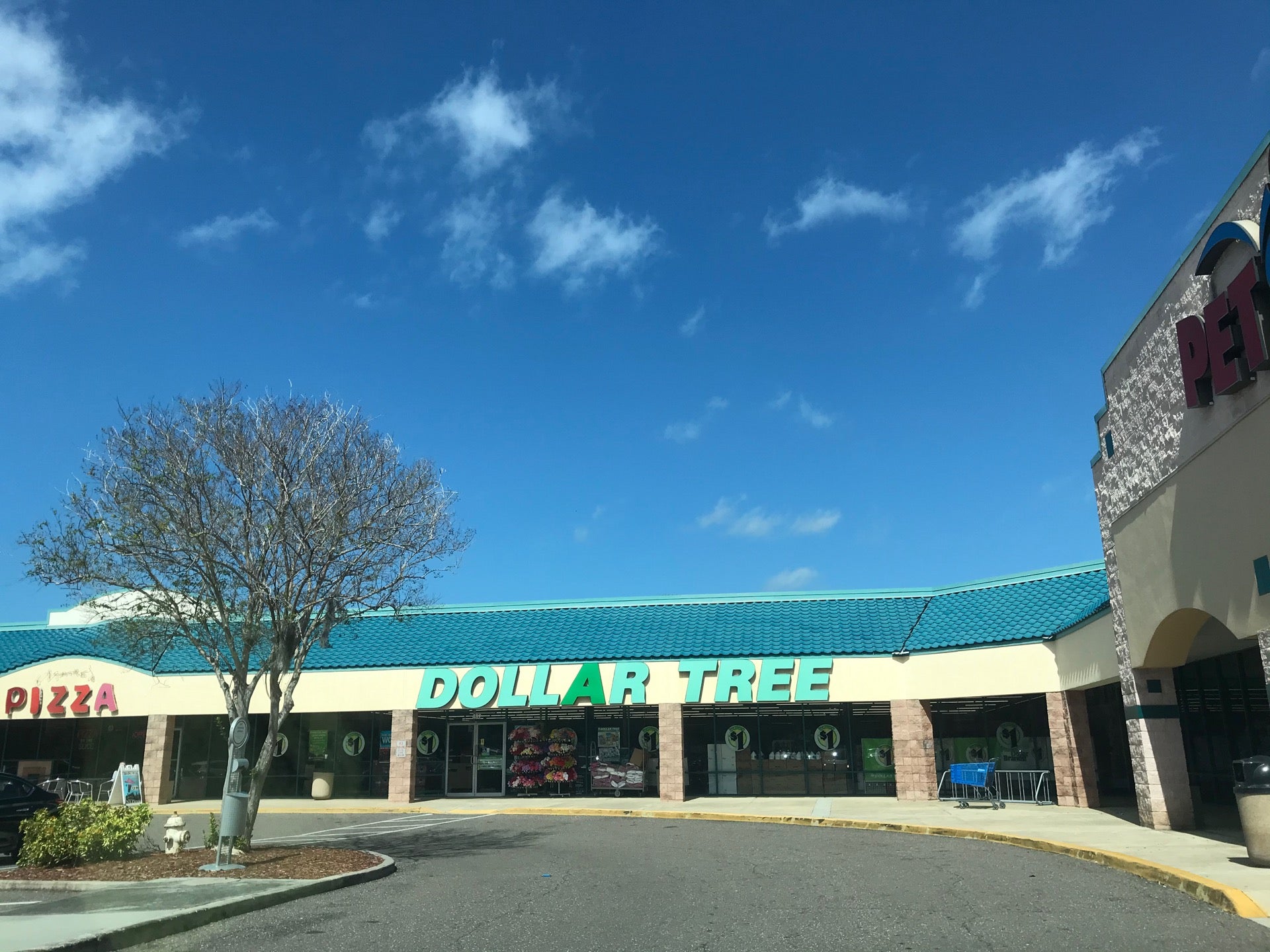 Dollar Tree, 3993 Tyrone Blvd N, St Petersburg, Florida, Variety Stores