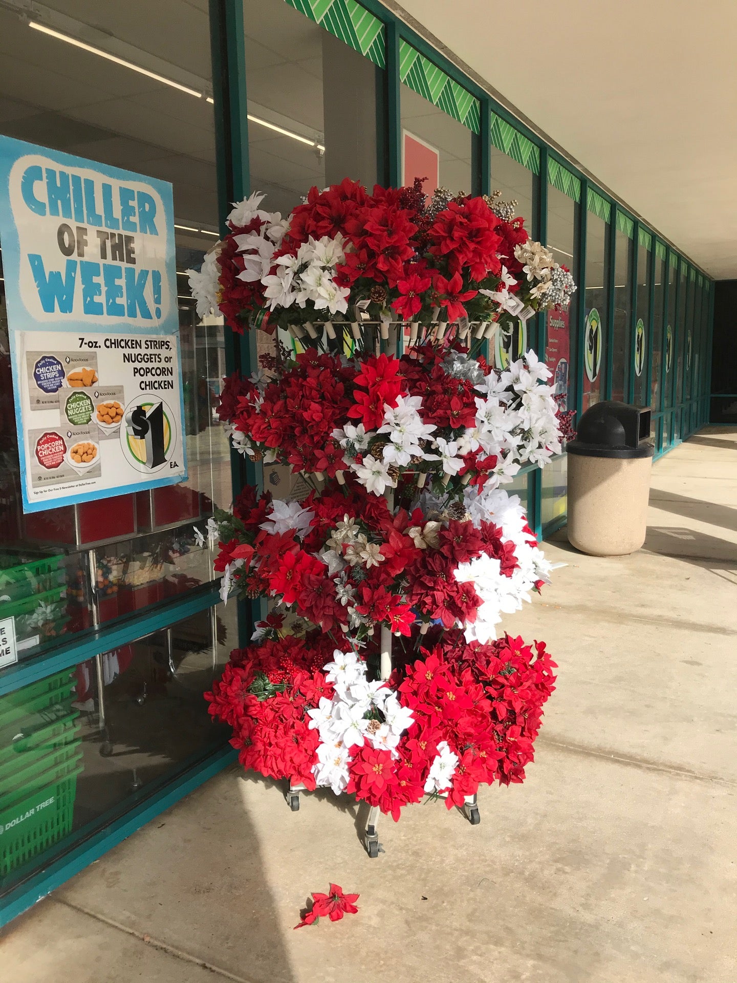 Dollar Tree, 3993 Tyrone Blvd N, St Petersburg, Florida, Variety Stores