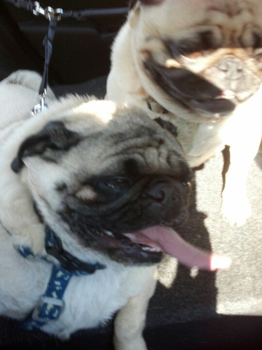 Avonmore, PA Map & Directions MapQuest