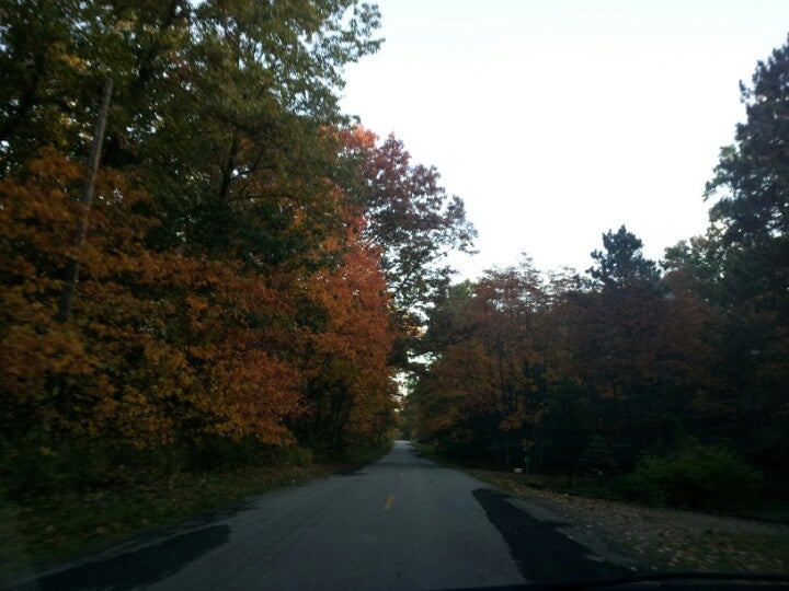 Lower Scott Lake, Pullman, MI, Lake MapQuest