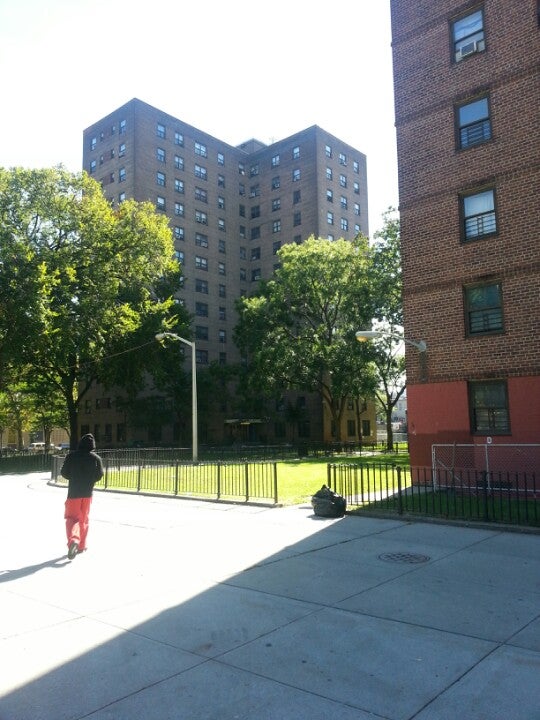 pink housing projects brooklyn