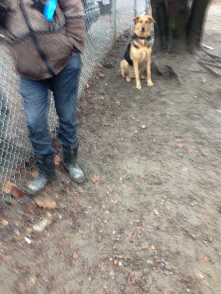 dog runページ Rocky Point Park Dog Run, Port Moody, BC V3H 1X2, CA - MapQuest