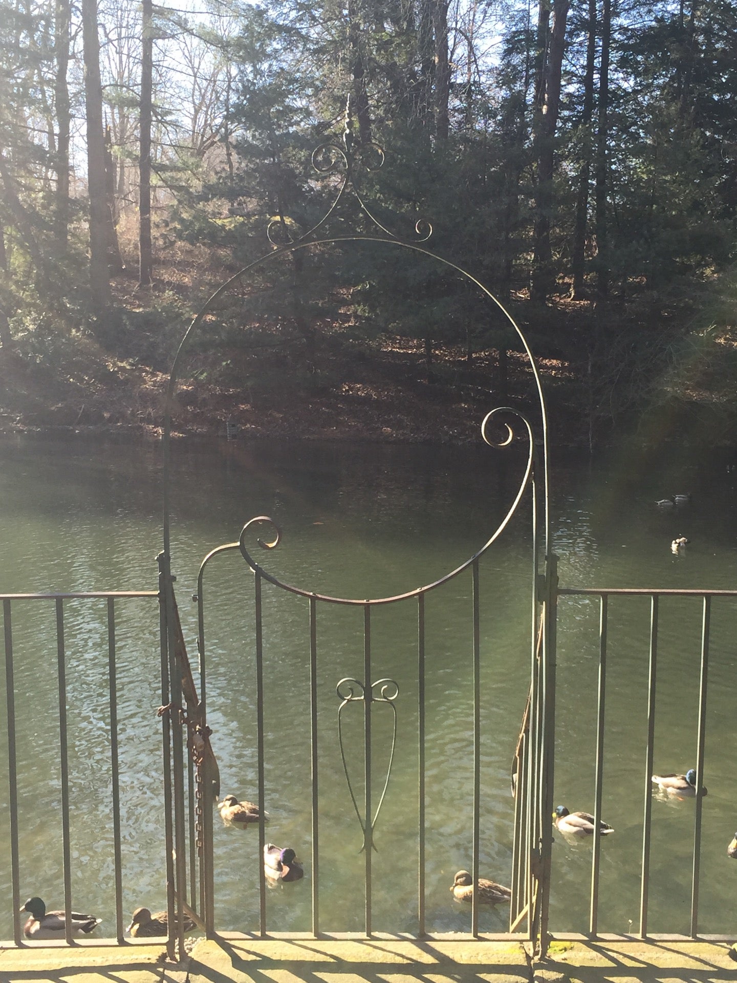 Chestnut Hill Memorial Park, 2613 Sackett Ave, Cuyahoga Falls, OH