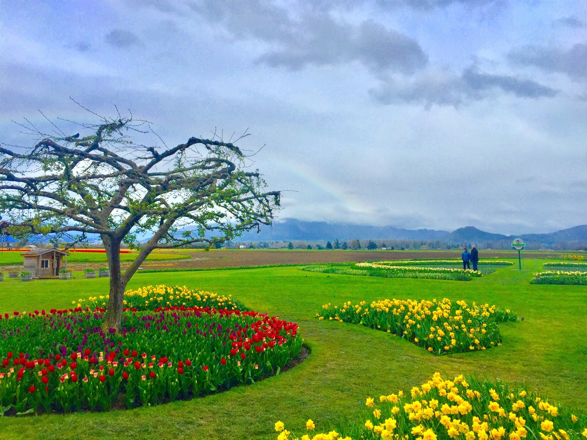 Seattle Sun Tan, 811 N Landing Way, Suite A, Renton, WA, Tanning Salons