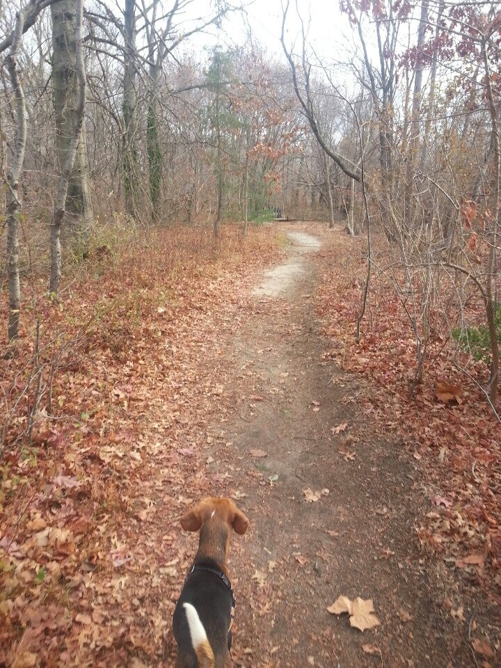 Wantagh, NY Map & Directions MapQuest