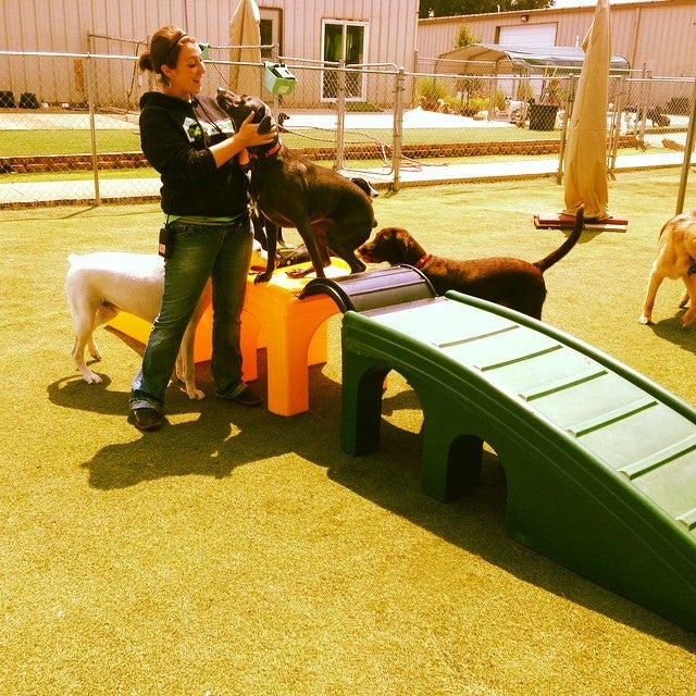 The Dog House, LLC, 1999 S Yost Ave, Bloomington, IN, Pet Supplies MapQuest