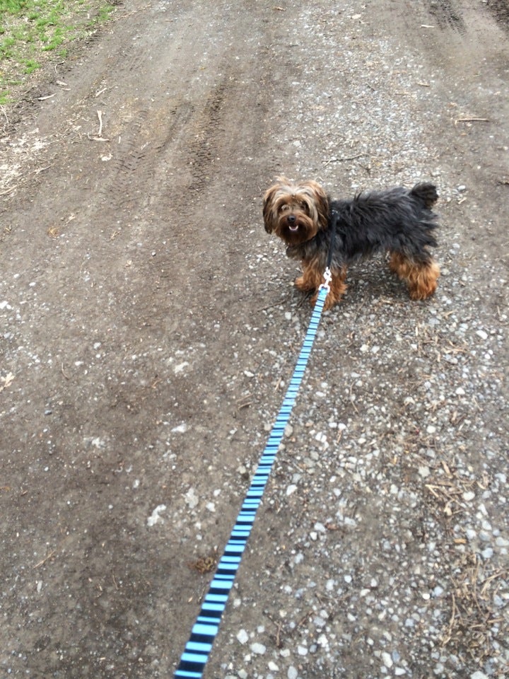 Funkstown, MD Map & Directions MapQuest