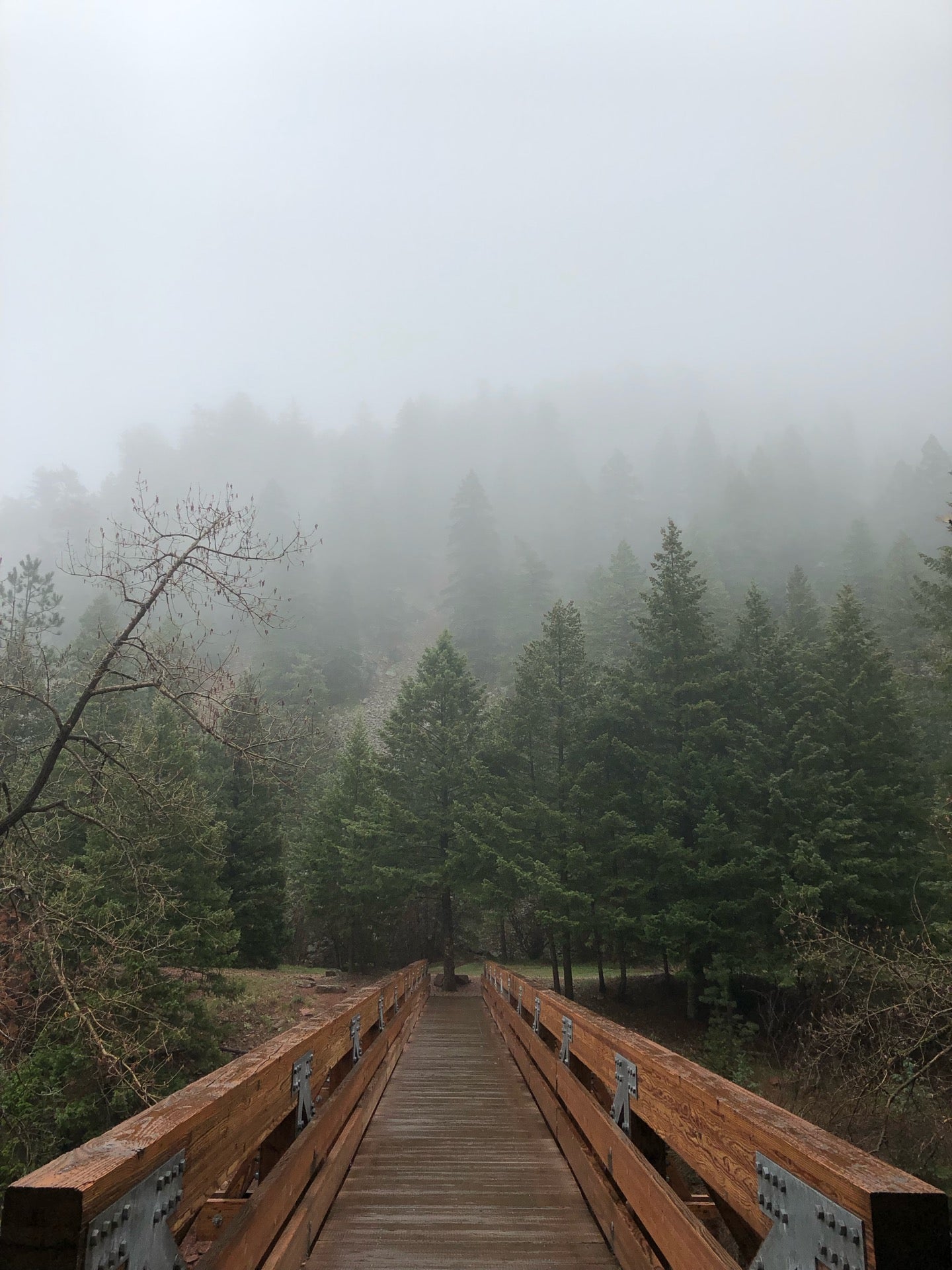 Rattlesnake Trailhead, Eldorado Springs, CO, Trail MapQuest