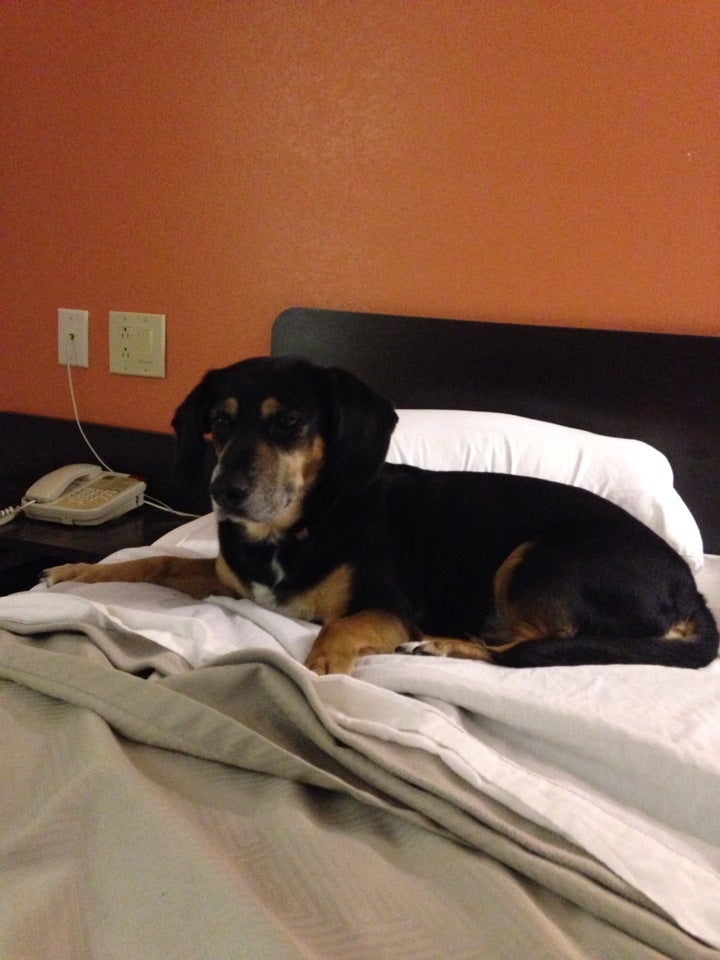 Linden, IN Map & Directions MapQuest