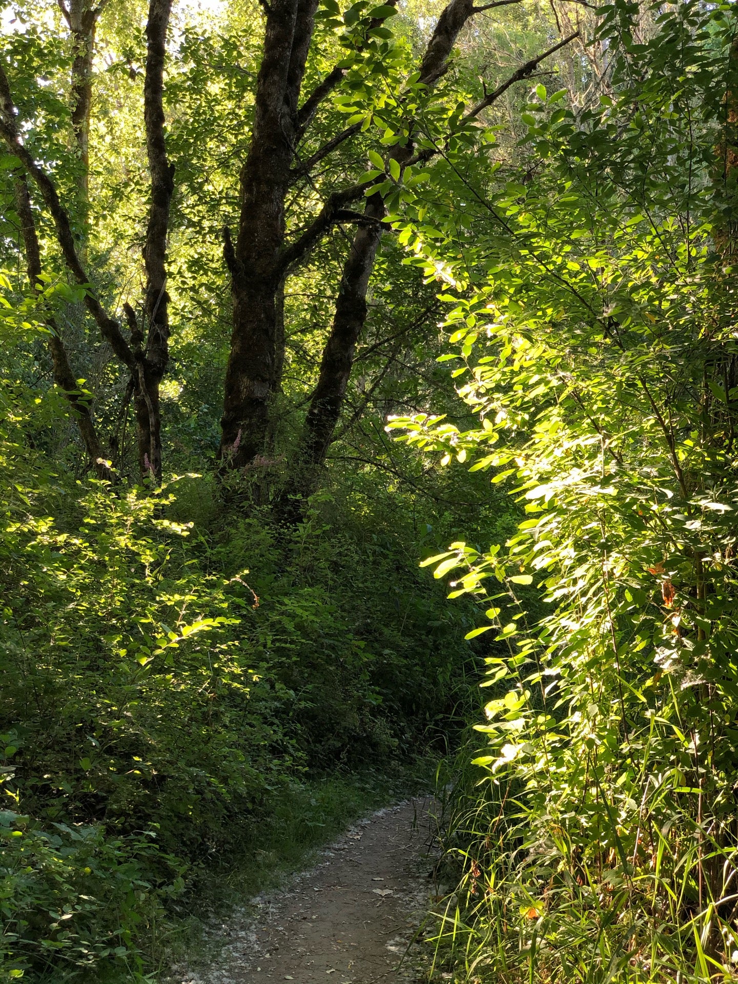 Wapato Access Greenway State Park, 18846 NW Sauvie Island Rd, Portland