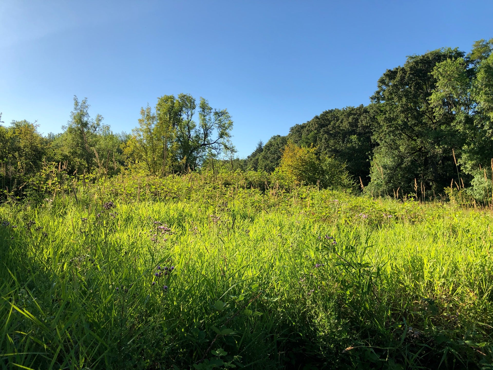 Wapato Access Greenway State Park, 18846 NW Sauvie Island Rd, Portland