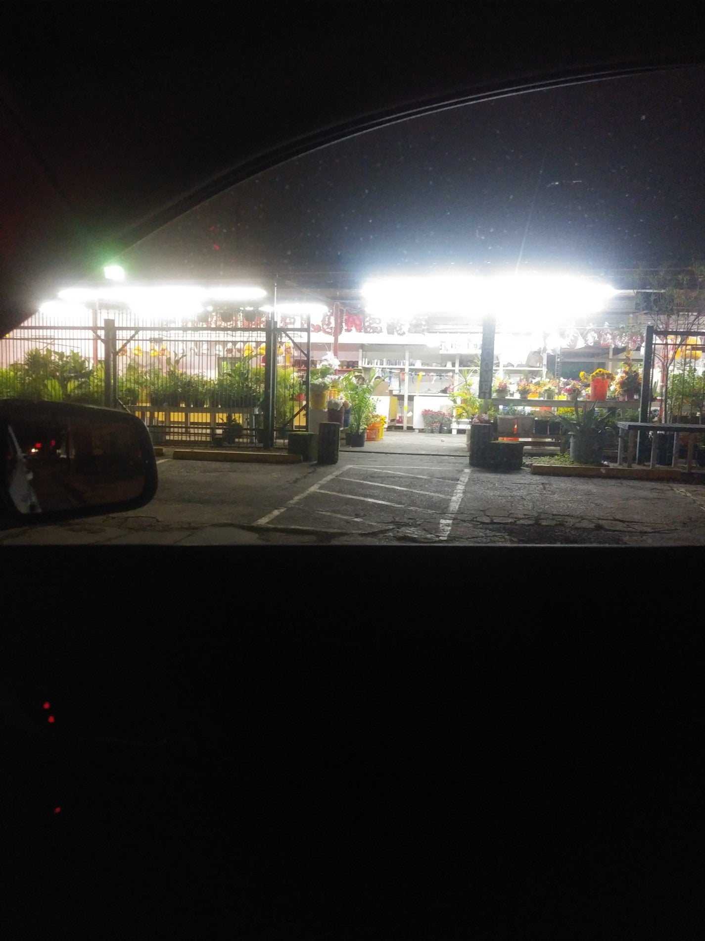 Fannin Street Flowers Houston Tx Best Flower Site