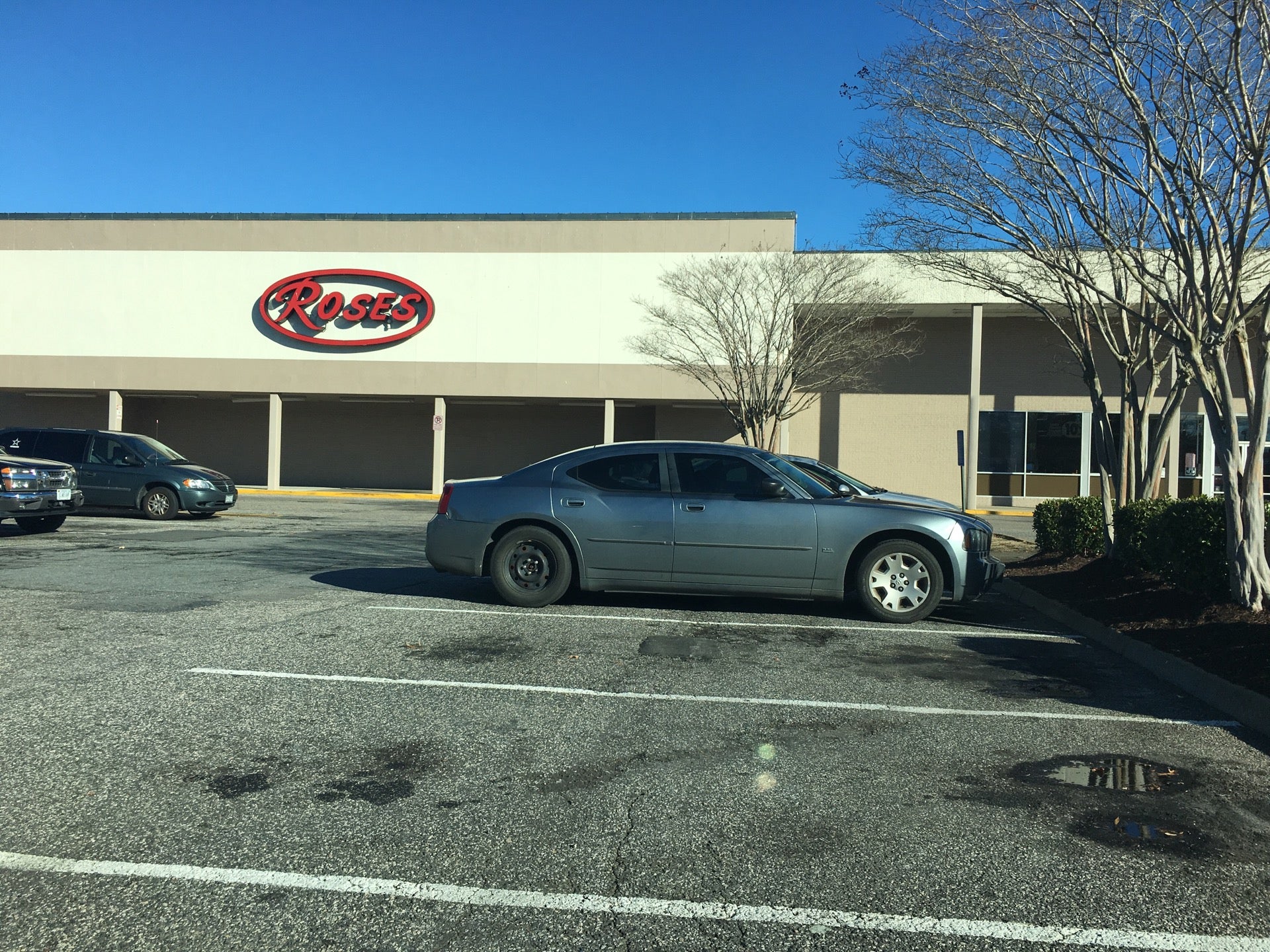 Roses, 3142 Western Branch Blvd, Chesapeake, VA, Florists MapQuest