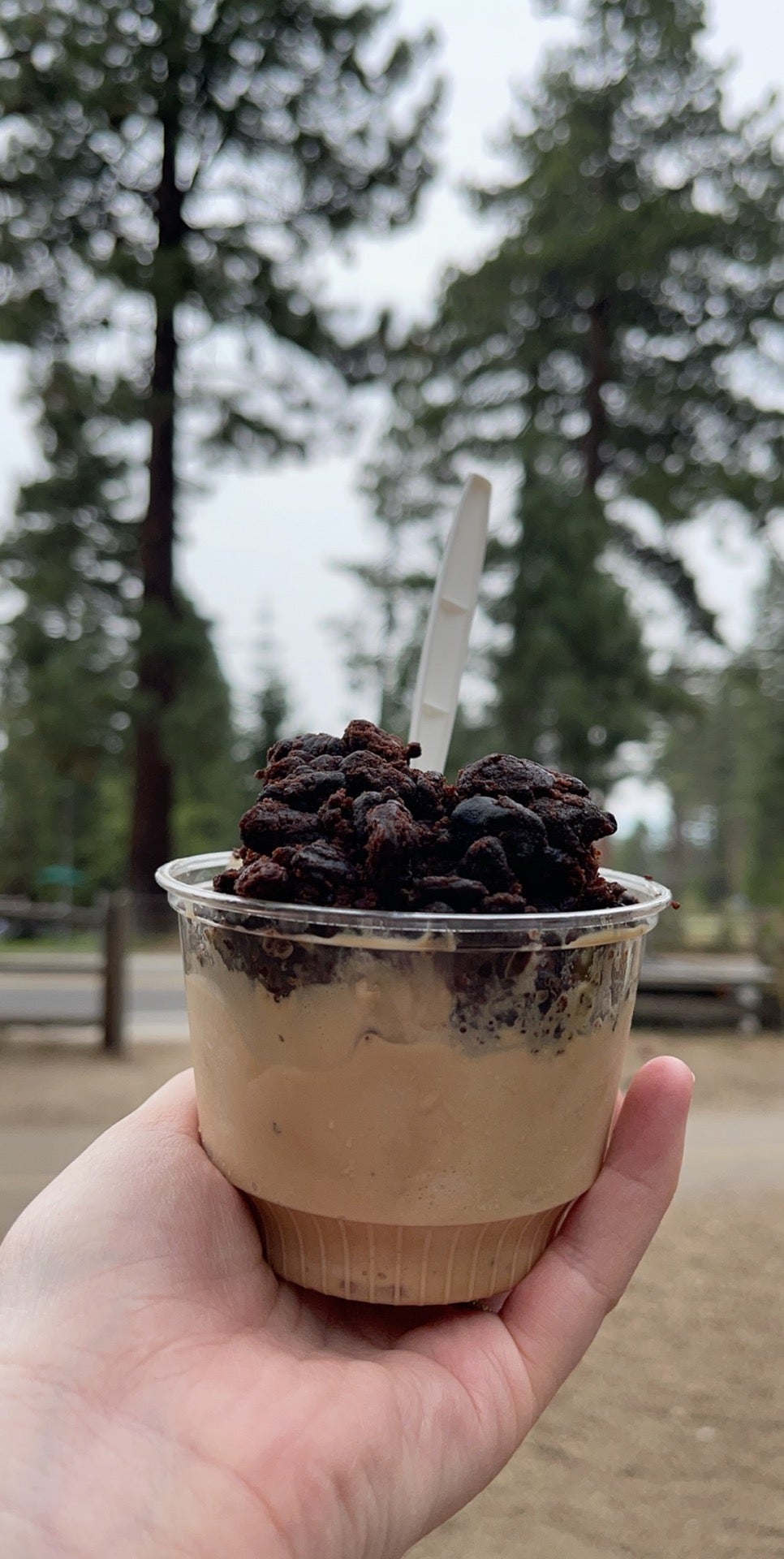 Richardsons Ice Cream Parlor, 1900 Jameson Beach Rd, South Lake Tahoe