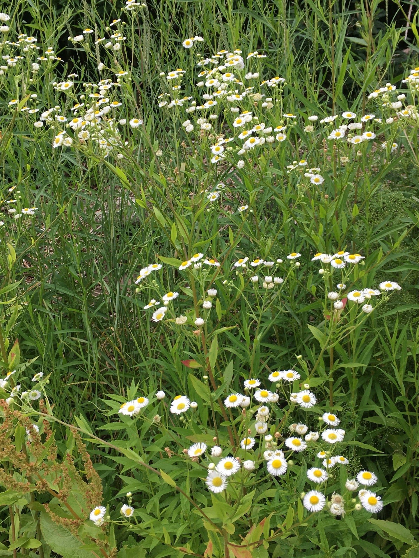 Otis, MA Map & Directions MapQuest