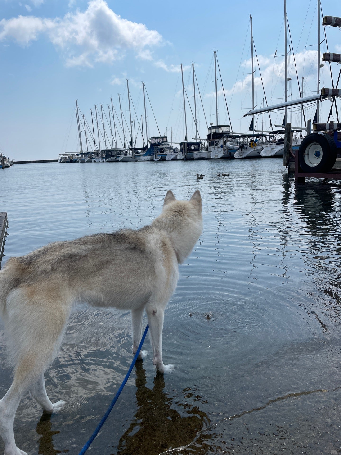 Port Sanilac, MI Map & Directions MapQuest