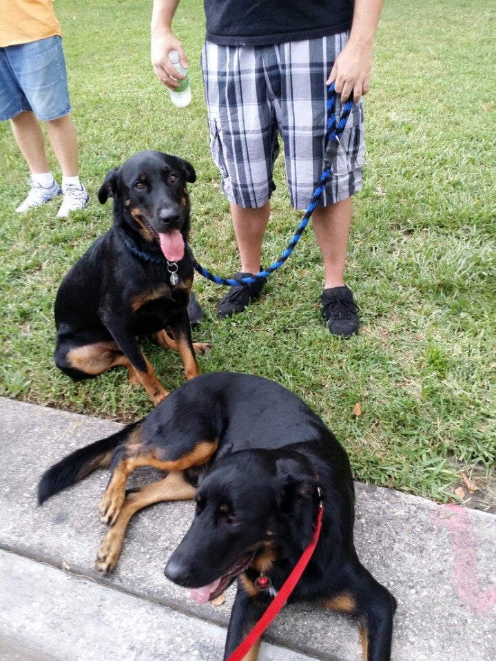 Downtown Lakeland Food Truck Rally, 201 E Main St, Lakeland, FL, Food