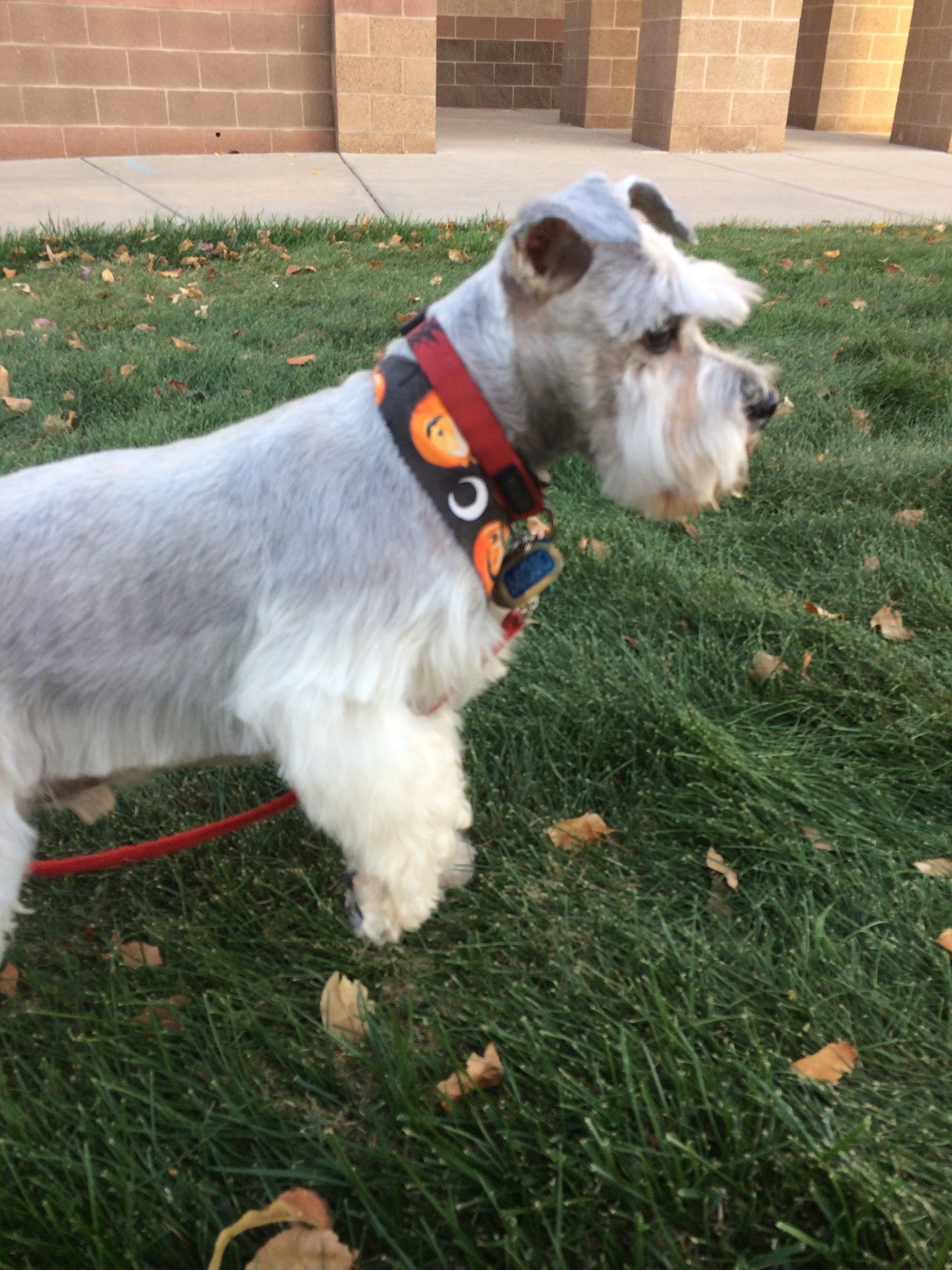 Green Valley Ranch Dog Park, N Argonne St, Denver, CO MapQuest