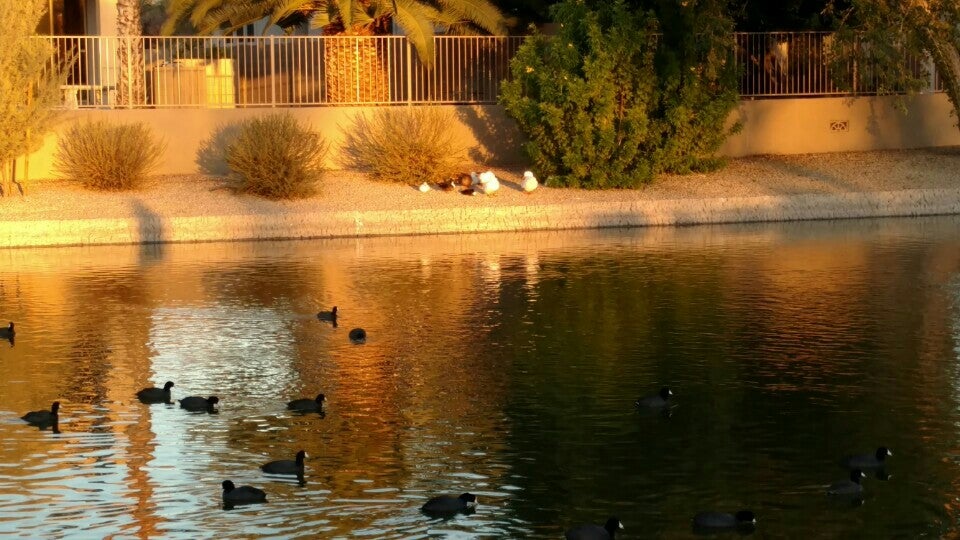 Sierra Verde Park, W Potter Dr, Glendale, AZ MapQuest