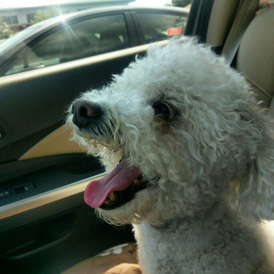 Olney, MD Map & Directions MapQuest