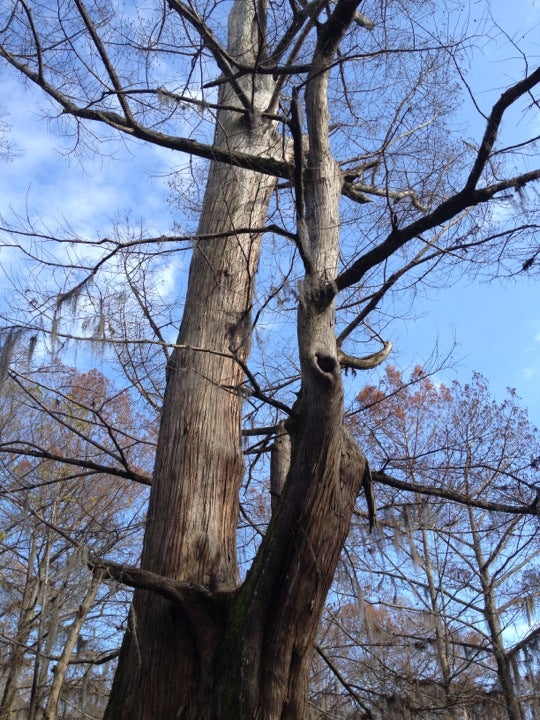 Sky Lake Cypress Park, Simmons Rd, Belzoni, MS, Wildlife Conservation